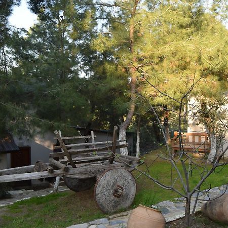 Kayserkaya Cottages & Camping Sirince Bagian luar foto