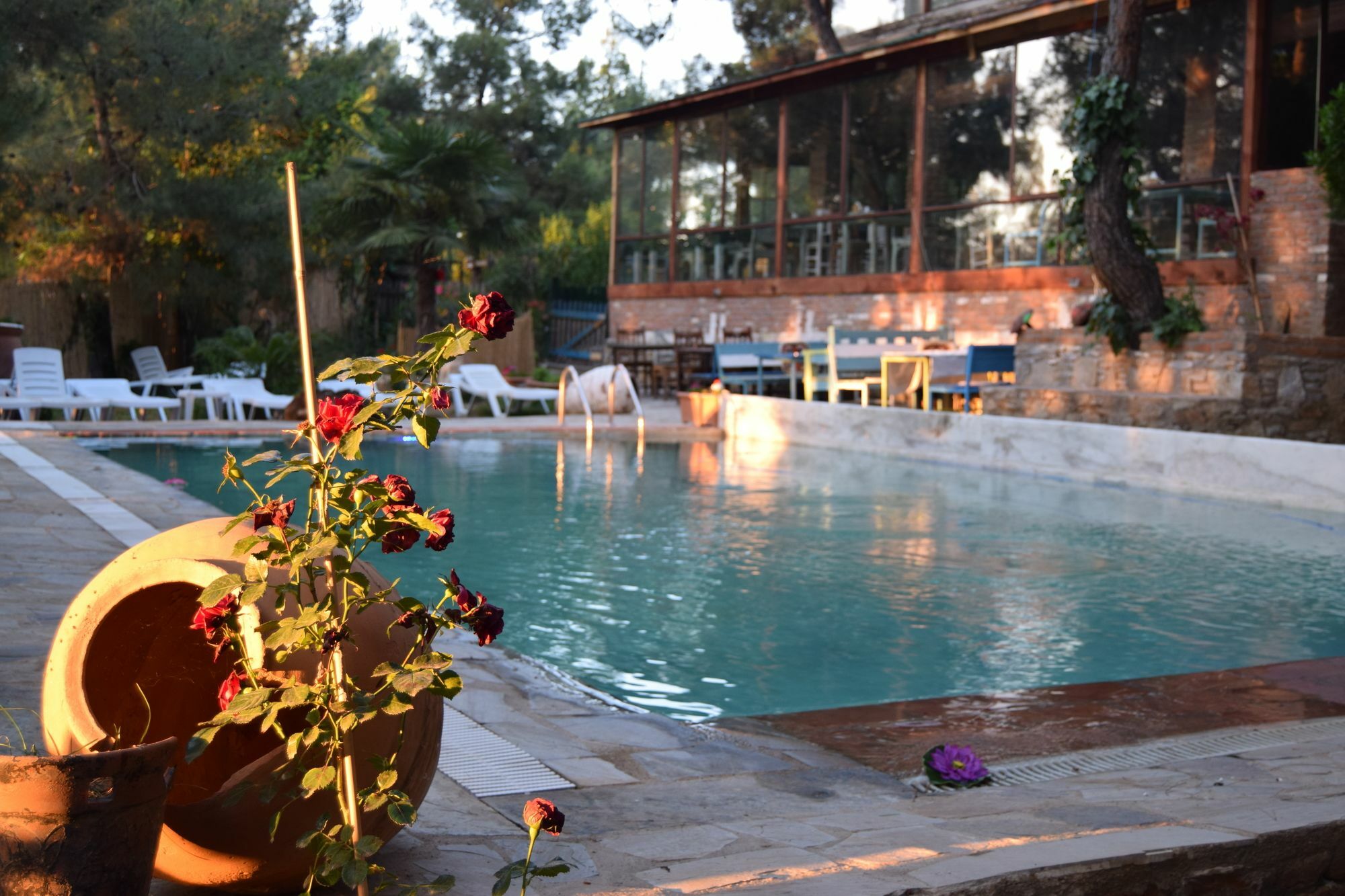 Kayserkaya Cottages & Camping Sirince Bagian luar foto